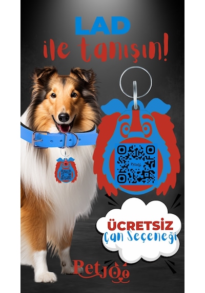 Petjoo 23.Lad Kırmızı-Mavi Qr'lı Köpek Künyesi