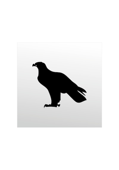 Folyo Sticker Kartal Adkpquy630 50cm Uzunluk Siyah