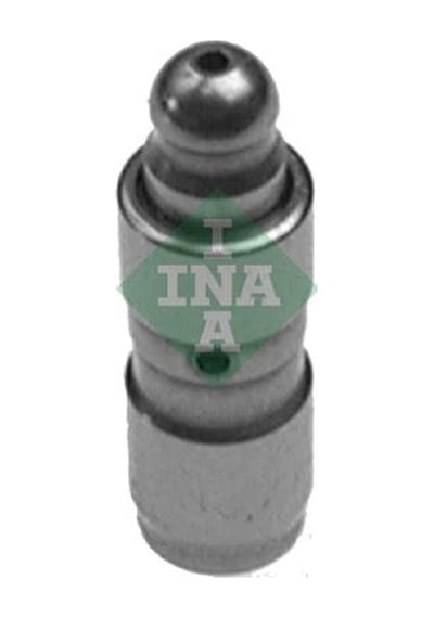 Subap Fincanı Ina 420009910 Renault Clio / Megane