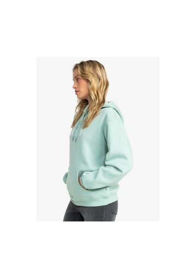 Surf Stoked Hoodie Brushed-mavi Mavi