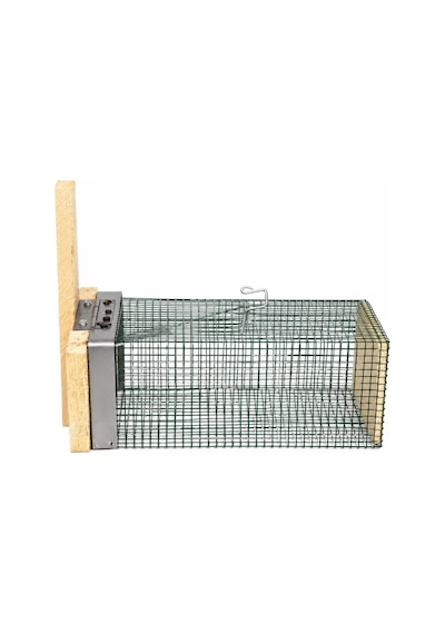 Fare Kapanı Orta Boy Dışı Telli 12 X 25 X 11 Cm