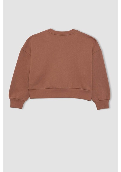 Defacto Kız Çocuk Relax Fit Bisiklet Yaka Baskılı Kalın Sweatshirt B4675A823WNBN569 Kahverengi Defacto Kız Çocuk Relax Fit Bisiklet Yaka Baskılı Kalın Sweatshirt B4675A823WNBN569 Kahverengi