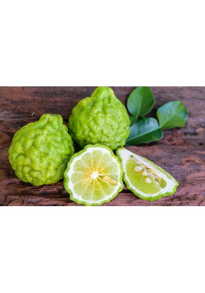 3 Yaş Bergamot  Fidanı