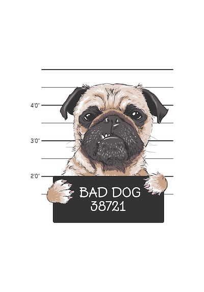 Paybuy Erkek Oversize Tişört Mizahi Köpek Portre Baskısı Rahat Kesim Gün Beyaz