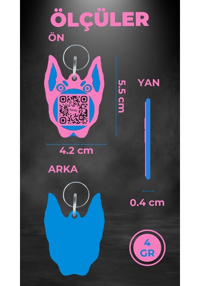 Petjoo 30.Anubis Mavi-Pembe Qr'lı Köpek Künyesi