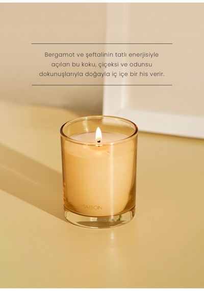 Bella Maison Amberwood Trail Soya Wax Kokulu Mum Sarı 120 Gr Sarı