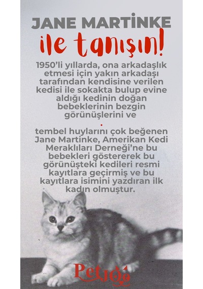Petjoo 5.Jane Martinke Kırmızı-Gri Qr'lı Kedi Künyesi