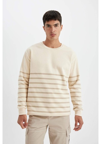 DeFacto Comfort Regular Fit Rahat Kalıp Bisiklet Yaka Çizgili Kalın Sweatshirt D2397AX24AUER42