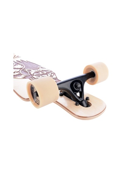 Tempish Coon Longboard Çok Renkli
