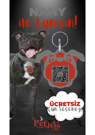 Petjoo 17.Nany Kırmızı-Gri Qr'lı Köpek Künyesi