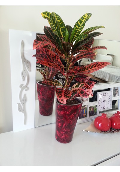 Sedef Kaplama Malzemesi Kırmızı 35x160 Cm Boyutlarında Bordo - Kırmızı