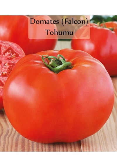 6'li No9 Patlıcan Tohumu Salatalık Tohumu Maydanoz Tohumu İri Domates Tohumu Tatlı Kıl Acı Kıl Biber Genel
