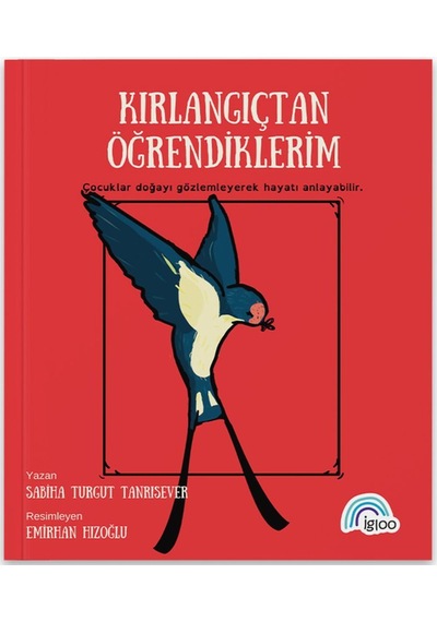 Kırlangıçtan Öğrendiklerim