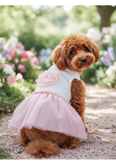Rosie Pink Tütü Köpek Kıyafeti Pembetütülü Elbise Küçük Irk Köpekler İçin