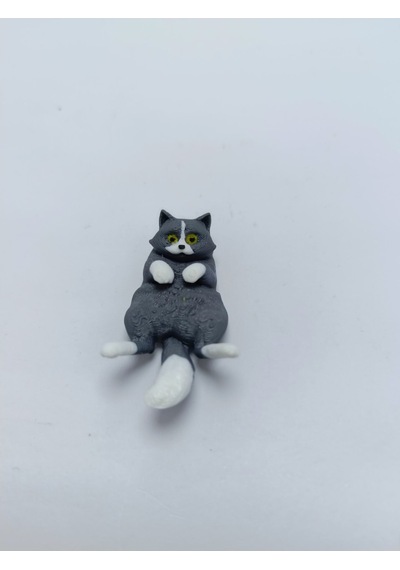 Miskin Gri Kedi Magnet