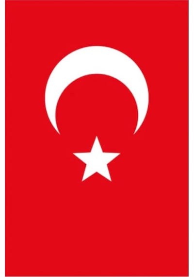 Yükselen 80x120 Bayrak