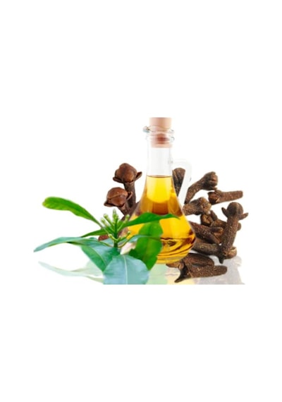 Karanfil Yağı 20 ML