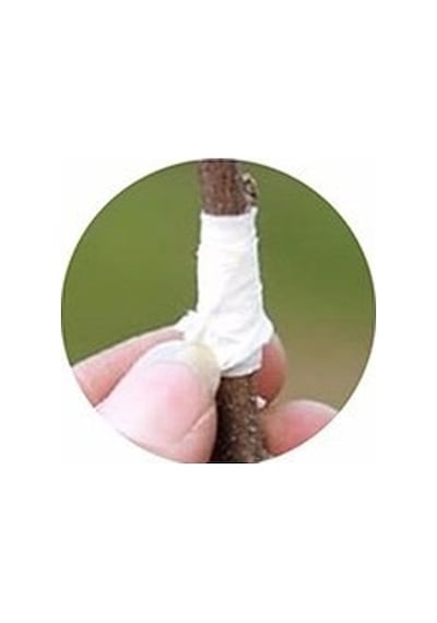 6 Lı Aşı Makası Yedek Bıçak+Tampon Omega Tip Seti