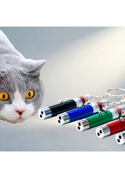 Kırmızı Beyaz Işıklı Lazer Kedi Köpek Oyuncak Anahtarlık .