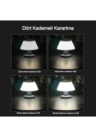 Mdstech Masa Lambası Modern Tasarım Su Geçirmez Güneş Enerjili 4 Kademeli Dim Led Ayarlanabilir Siyah Ve Şeffaf
