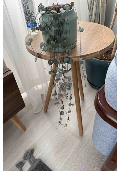 Tekli Yan Sehpa Çiçeklik Saksılık Standı Dekoratif Yan Sehpa Seti Ahşap Ayaklı 33 Cm Çap - Atlantik Çam Atlantik Çam