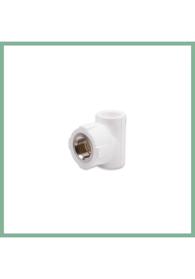 Bşkvirgo Pprc 20mm1/2 İç Dişli T 1 Adet Bsk2026 Diğer