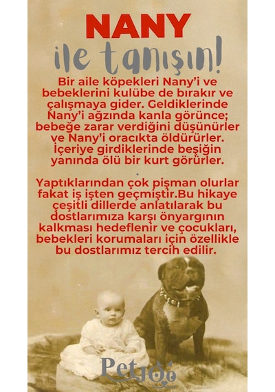 Petjoo 17.Nany Gri-Kırmızı Qr'lı Köpek Künyesi