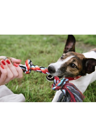 4 Lü Köpek Diş İpi Oyuncağı Seti Isırma Çekiştirme Eğitim Toplu Halat Oyuncak