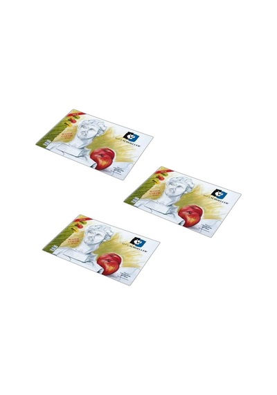 Alex Resim Defteri 50X70 Spr. 120 Gr 20 Yp 2'Lİ