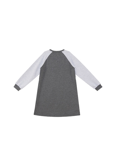Denokids Mshb&g Vahşi Kedi Kız Çocuk Elbise Çok Renkli