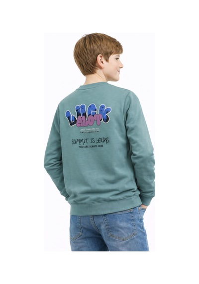 Baglan Erkek Çocuk Önü Arkası Baskılı Sweatshirt Bgl-st05237 Açık Yeşil