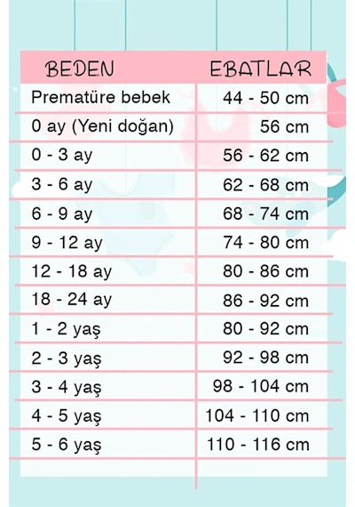 0 - 12 Ay Kulaklı Welsoft Dış Kundak Bebek Battaniye