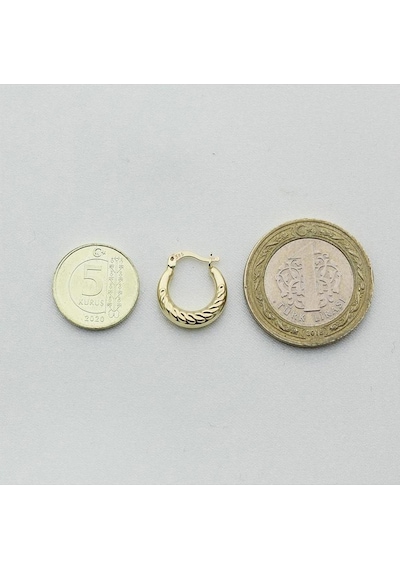 Altın Küçük Yelpaze Küpe Çapı: 1.40cm Sarı Altın