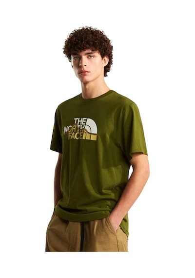 The North Face Mountain Line Regular Erkek Yeşil Outdoor T-shirt Nf0a8guxbrı1