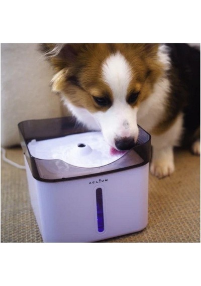 Aclıum Köpek Su Sebili 2,4 L