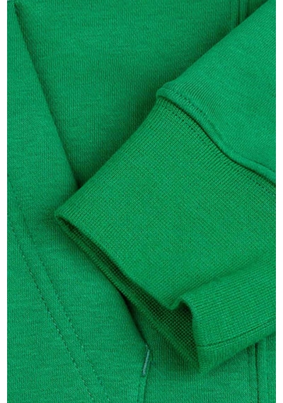 Nike M Flc Park20 Po Hoodie Erkek Sweatshirt CW6894-302-Yeşil