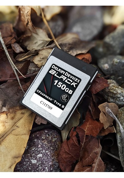 Delkin Devices 150gb Siyah Cfexpress Tip B Hafıza Kartı