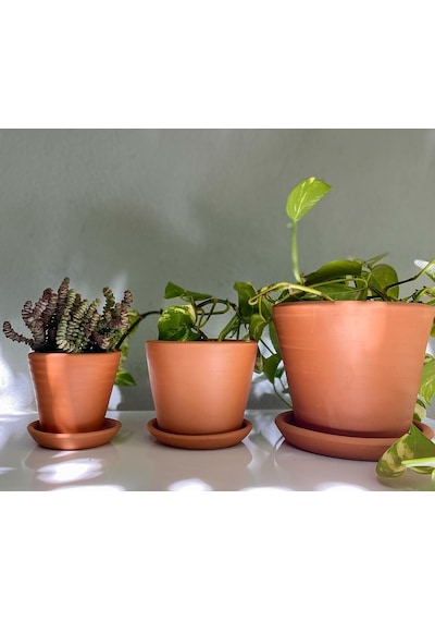 Terracotta Savana Saksı+tabak Abstract Yeşil Sarı Orta