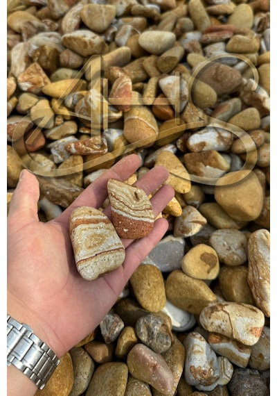 Sarı Çizgili Rainbow Dolomit Çakıl Taşı 4-8 Cm 10 Kg Dekoratif Bahçe Peyzaj Saksı Akvaryum Teraryum