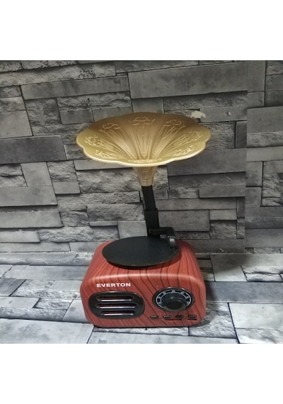 Everton RT-705Bt FM RadyoUsbBt Müzik Kutusu