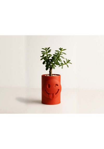 3d Baskı Emoji Planter - Göz Kırpan Yüzlü Sukulent Saksısı-turuncu Çok Renkli