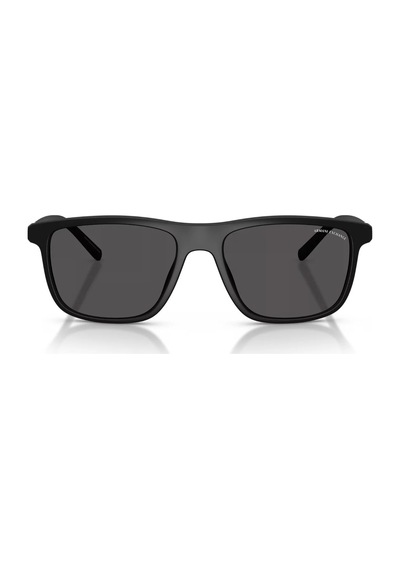 Armani Exchange 0ax4167su Güneş Gözlüğü Siyah