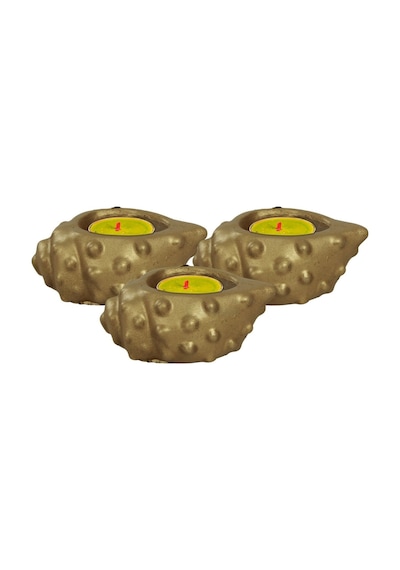 Mumluk Şamdan 3 Adet Tealight Uyumlu Deniz Kabuğu Mum Model - Altın