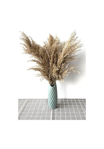 Alyones Gerçek Kuru Çiçek 7'li Büyük Boy 100 Cm Pampas Diğer