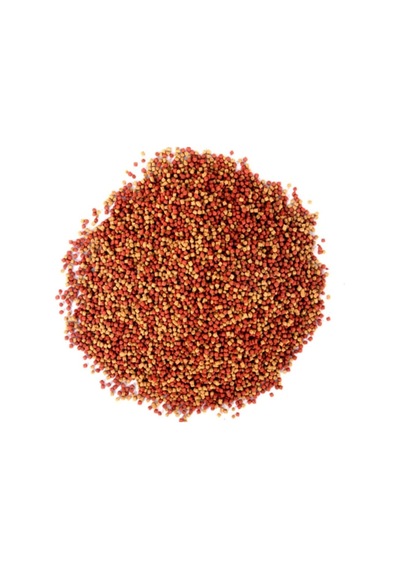 Amore Goldy Mix Granules 250 Ml Güçlü Zindeliklı Renkler Japon Balık Yemi