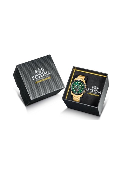 Festına F20727/2 Chrono Bıke Erkek Kol Saati Gri