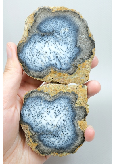Merlinite Dendritik Opal - Mavi Ve Beyaz Dendritik Opal Çift