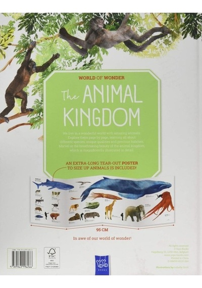 Yoyo Books Animal Kingdom
