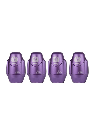 Sılgılı Kalemtıras Metalık Mor 4lu Set