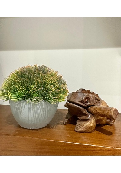 Yapay Scleranthus Minder Çiçeği Kızıl Yeşil Antrasit Saksılı Premium Dekor Çok Renkli